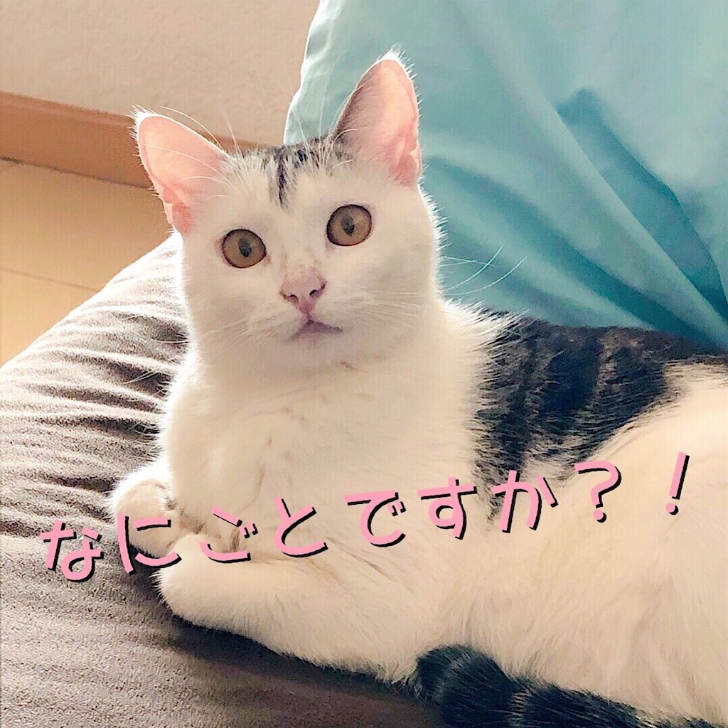 f:id:mitsume_tobesimple:20190726183924j:image f:id:mitsume_tobesimple:20190726183924j:image