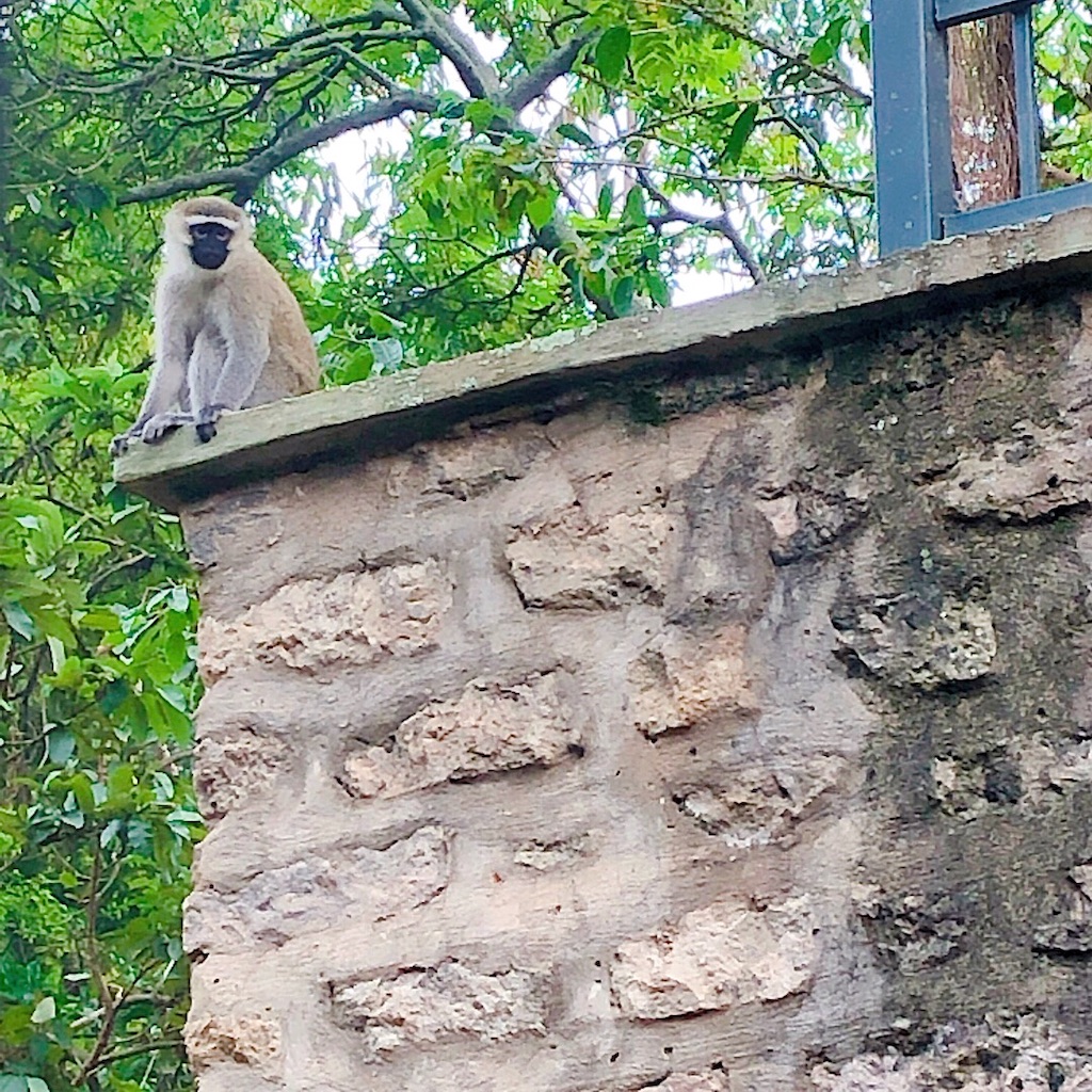 f:id:mitsume_tobesimple:20190809000630j:image f:id:mitsume_tobesimple:20190809000630j:image