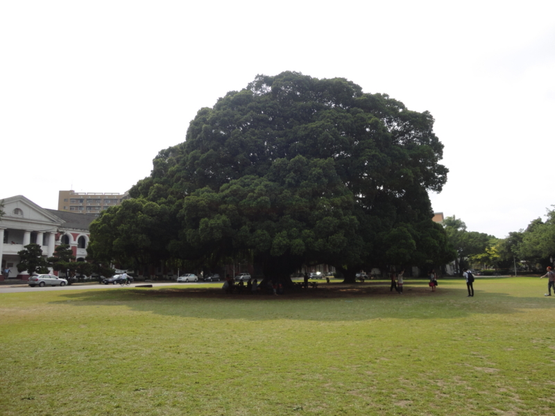f:id:mitsumiwa:20120405155807j:image:w360 f:id:mitsumiwa:20120405155807j:image:w360