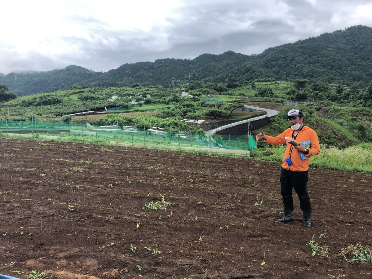 f:id:mitsumono:20200701210753j:plain f:id:mitsumono:20200701210753j:plain