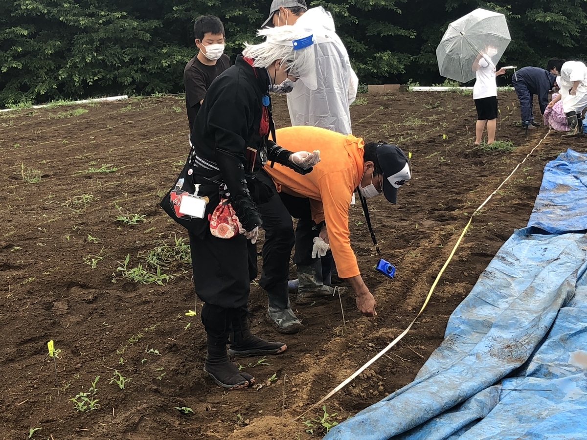 f:id:mitsumono:20200701213344j:plain f:id:mitsumono:20200701213344j:plain