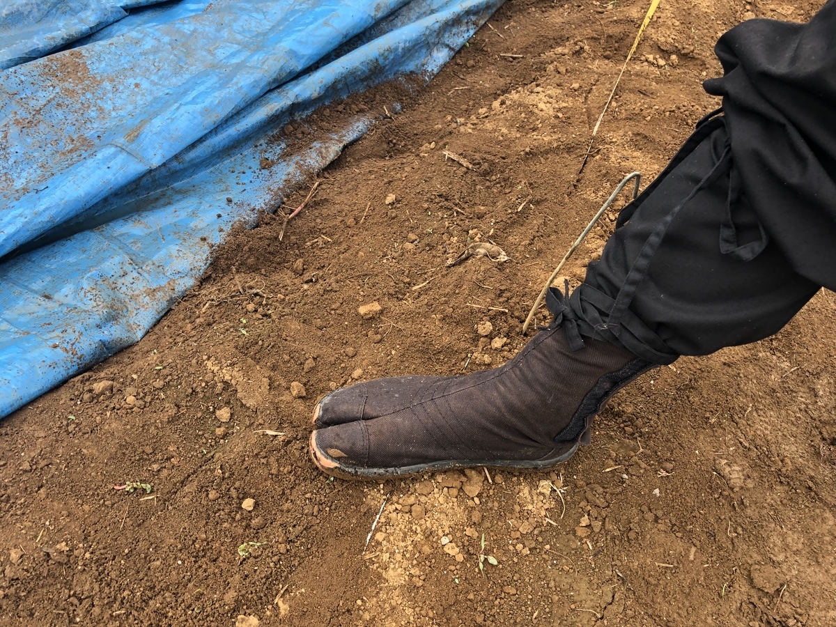 f:id:mitsumono:20200701213606j:plain f:id:mitsumono:20200701213606j:plain