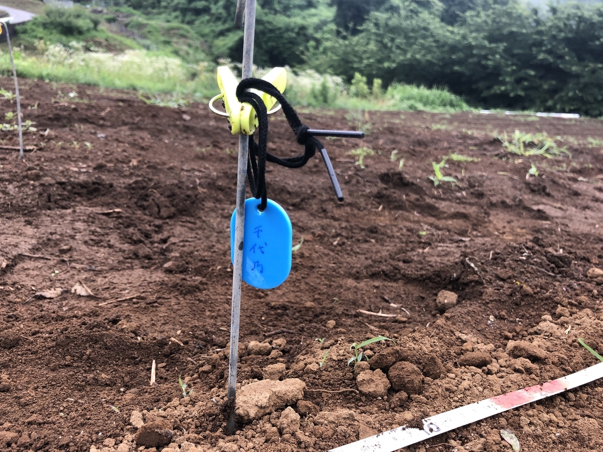 f:id:mitsumono:20200701214212j:plain f:id:mitsumono:20200701214212j:plain