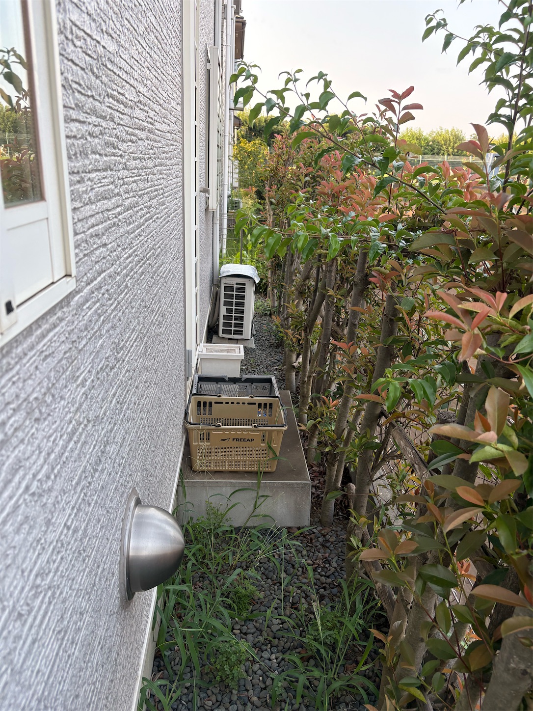 f:id:mitsunoriful:20260901141849j:image