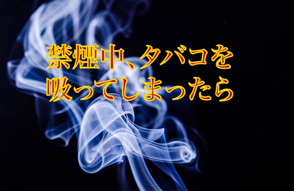 f:id:mitsuru-inte-r:20191029062309j:image