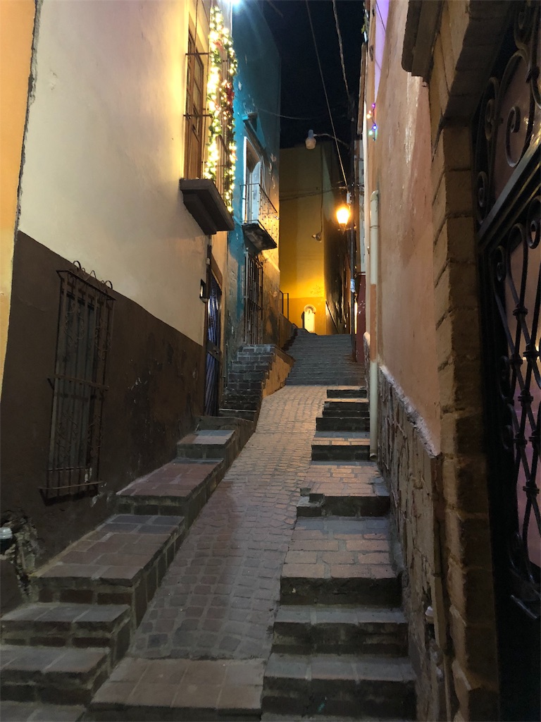 f:id:mitsurutui:20190117104903j:image f:id:mitsurutui:20190117104903j:image