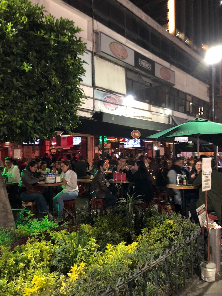 f:id:mitsurutui:20190119011911j:image f:id:mitsurutui:20190119011911j:image