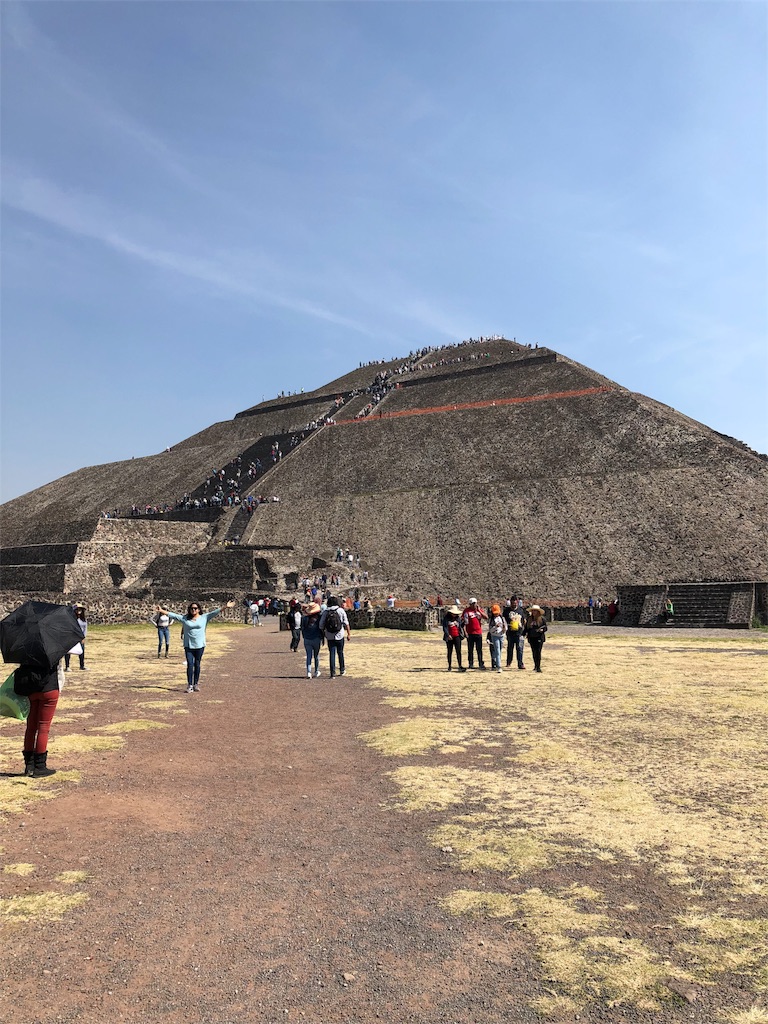 f:id:mitsurutui:20190119011956j:image f:id:mitsurutui:20190119011956j:image