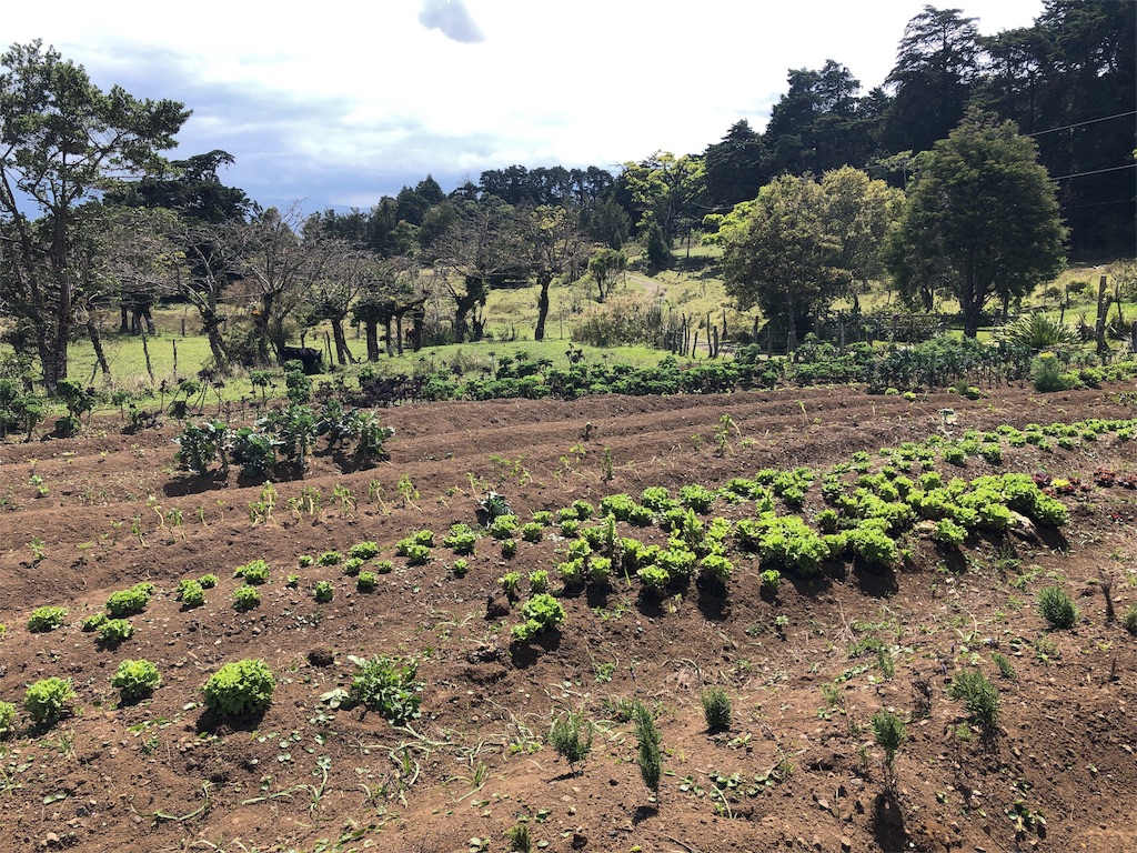 f:id:mitsurutui:20190412144534j:image f:id:mitsurutui:20190412144534j:image