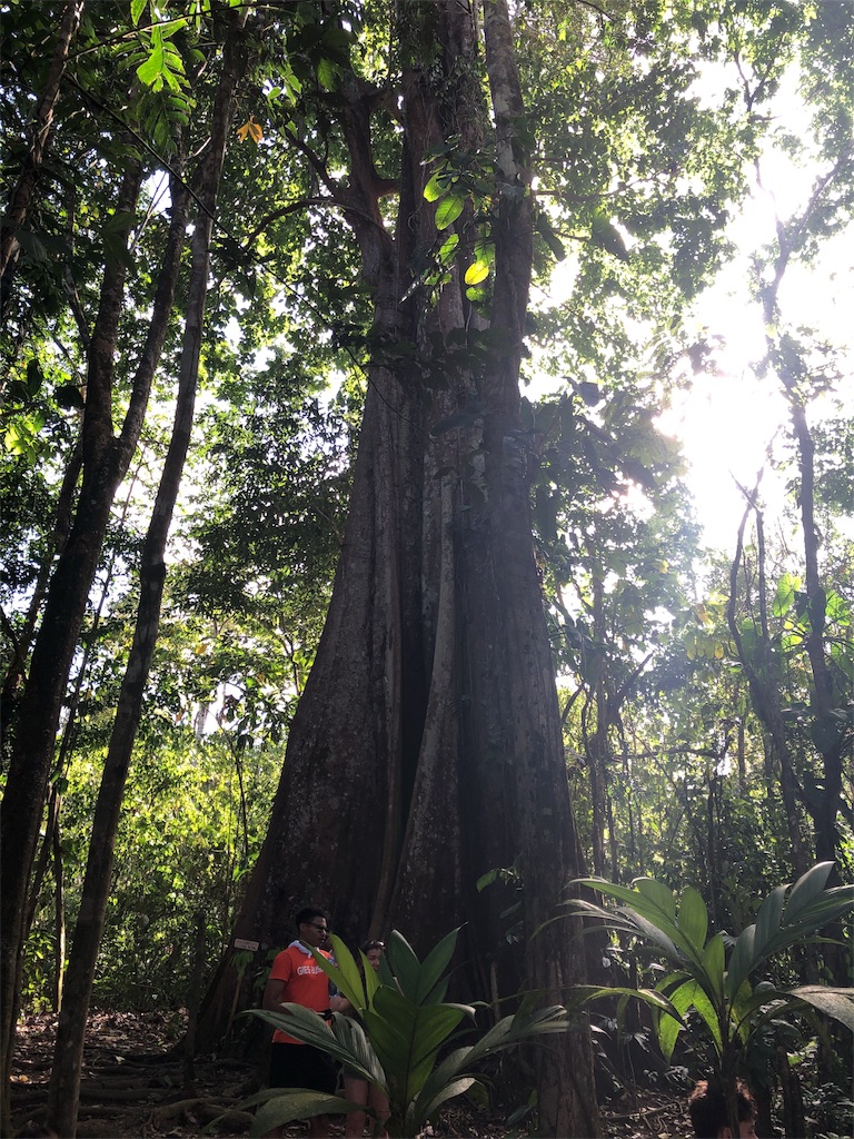 f:id:mitsurutui:20190412144542j:image f:id:mitsurutui:20190412144542j:image