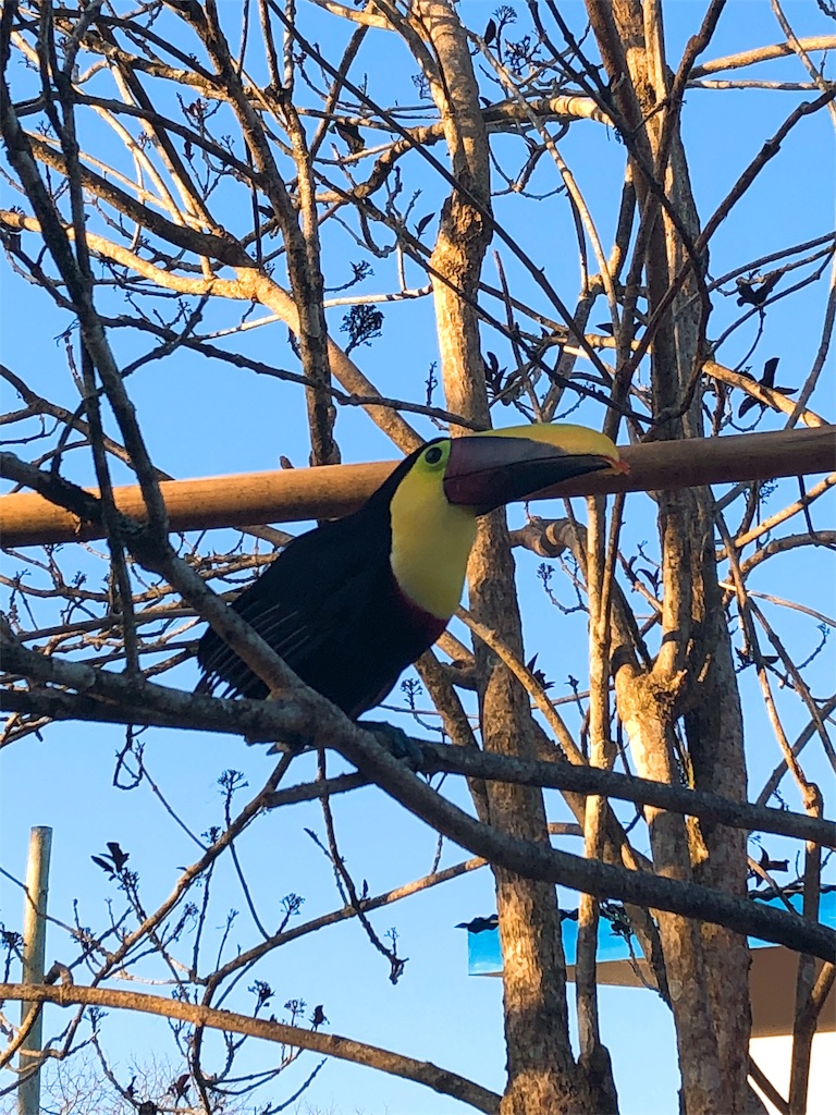 f:id:mitsurutui:20190412145916j:image f:id:mitsurutui:20190412145916j:image