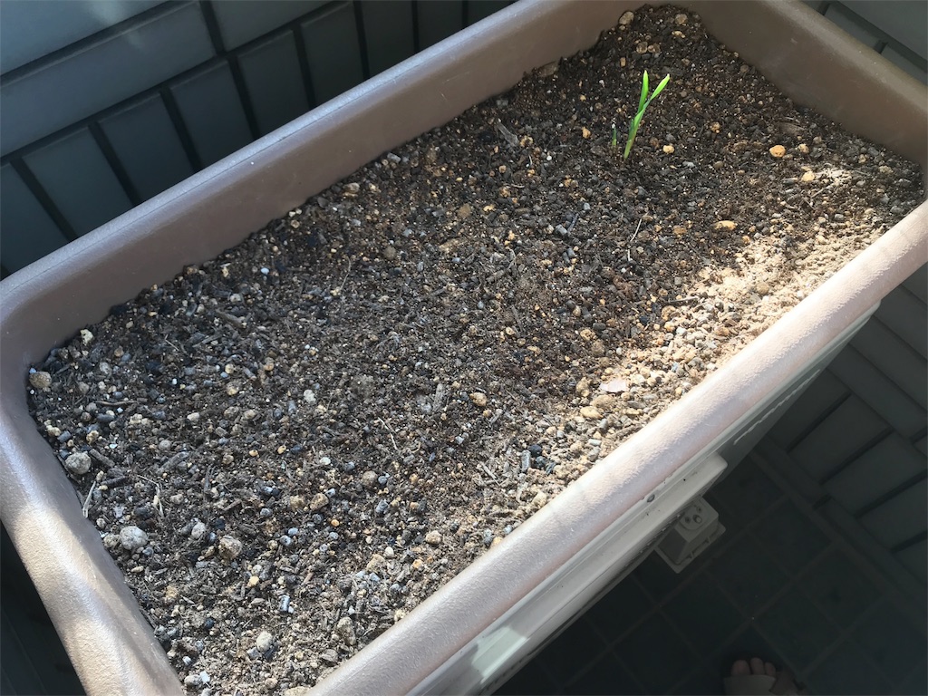 f:id:mittsu066:20180629083725j:image