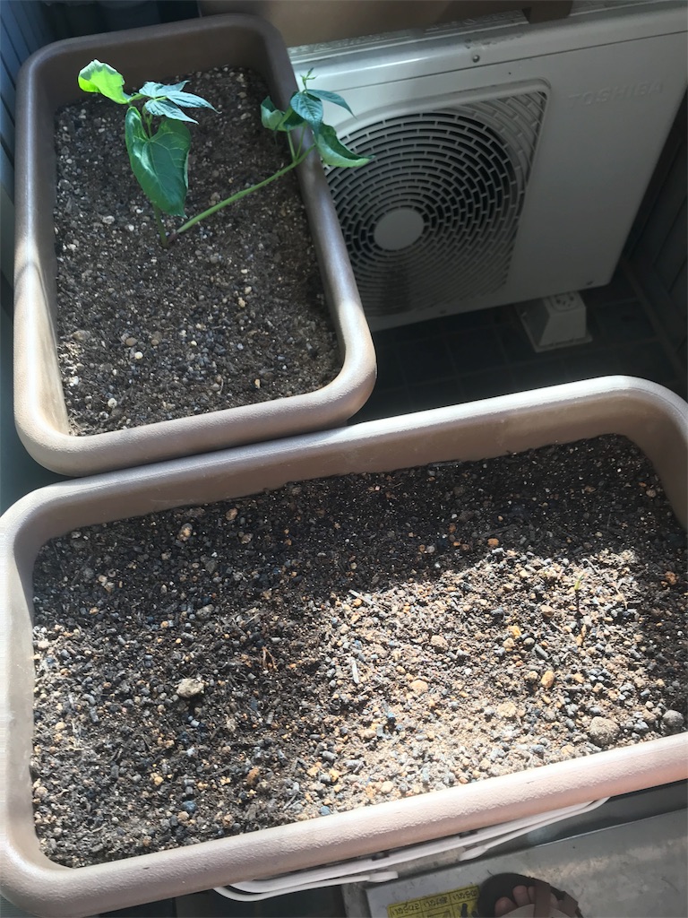 f:id:mittsu066:20180629083738j:image