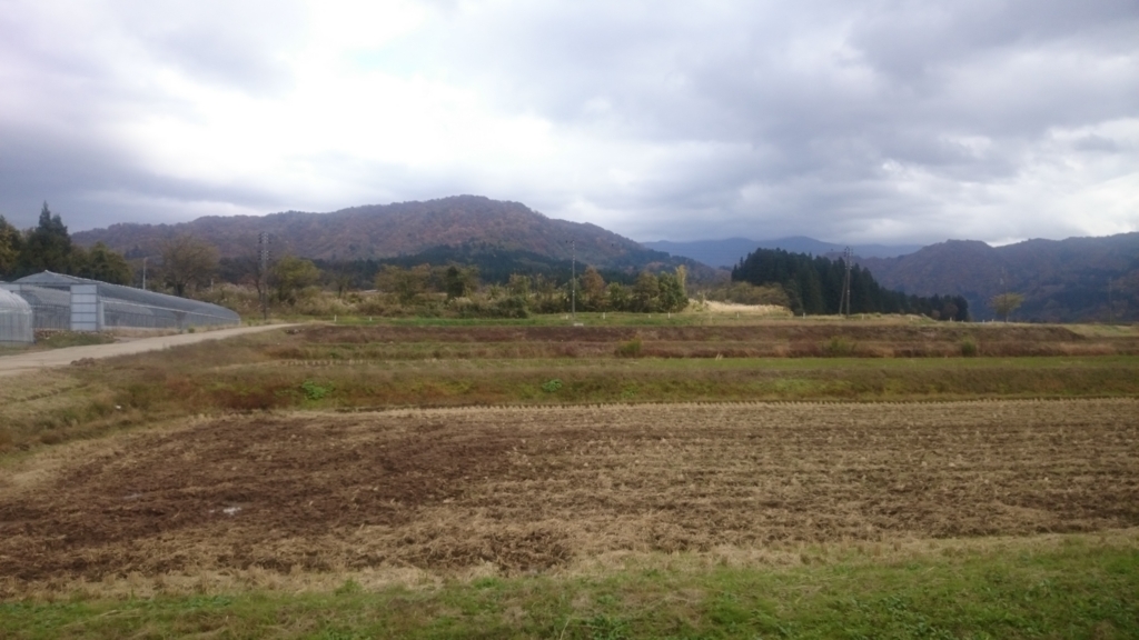 f:id:mitu_ankoromochi:20161106194638j:plain