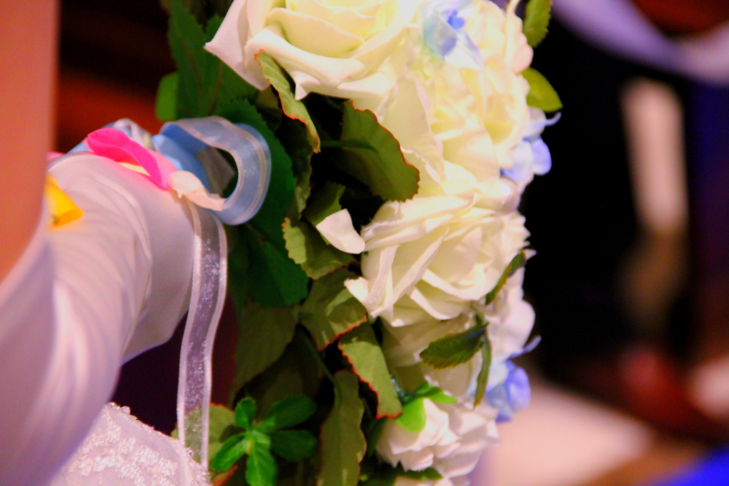 f:id:mitu_ankoromochi:20161127214941j:plain