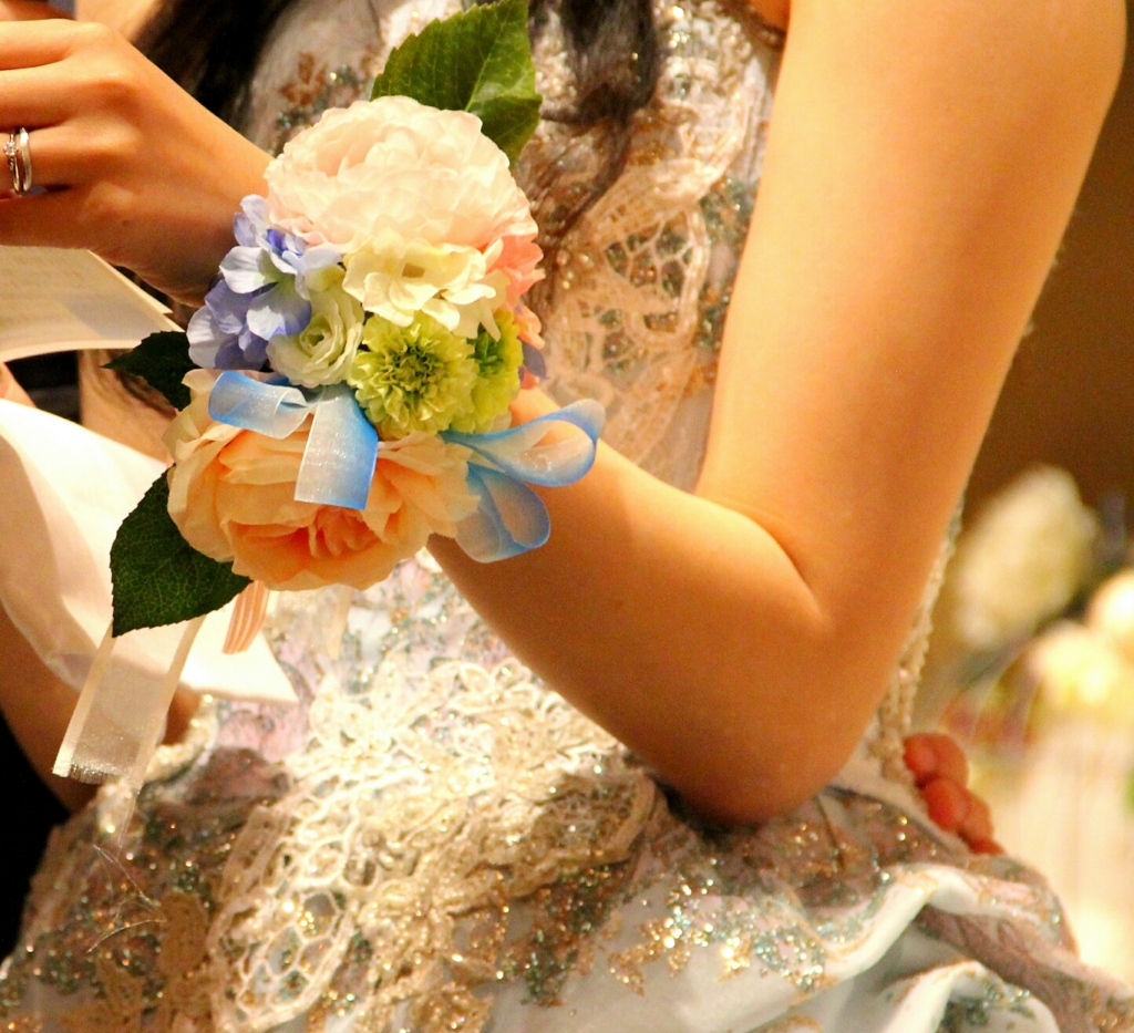 f:id:mitu_ankoromochi:20161127220255j:plain