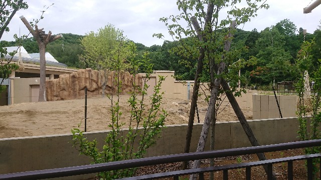 f:id:mitubattiri:20190727091443j:image