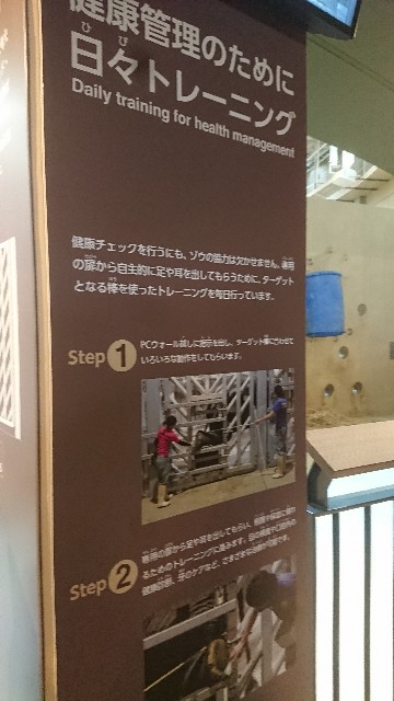 f:id:mitubattiri:20190727091600j:image