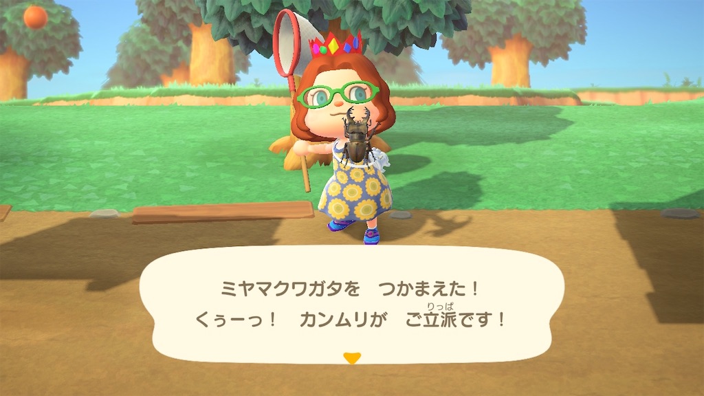 f:id:mitukabee:20200807034715j:image f:id:mitukabee:20200807034715j:image