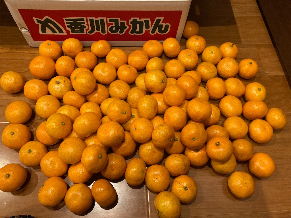 f:id:mitukabee:20221230064723j:image f:id:mitukabee:20221230064723j:image