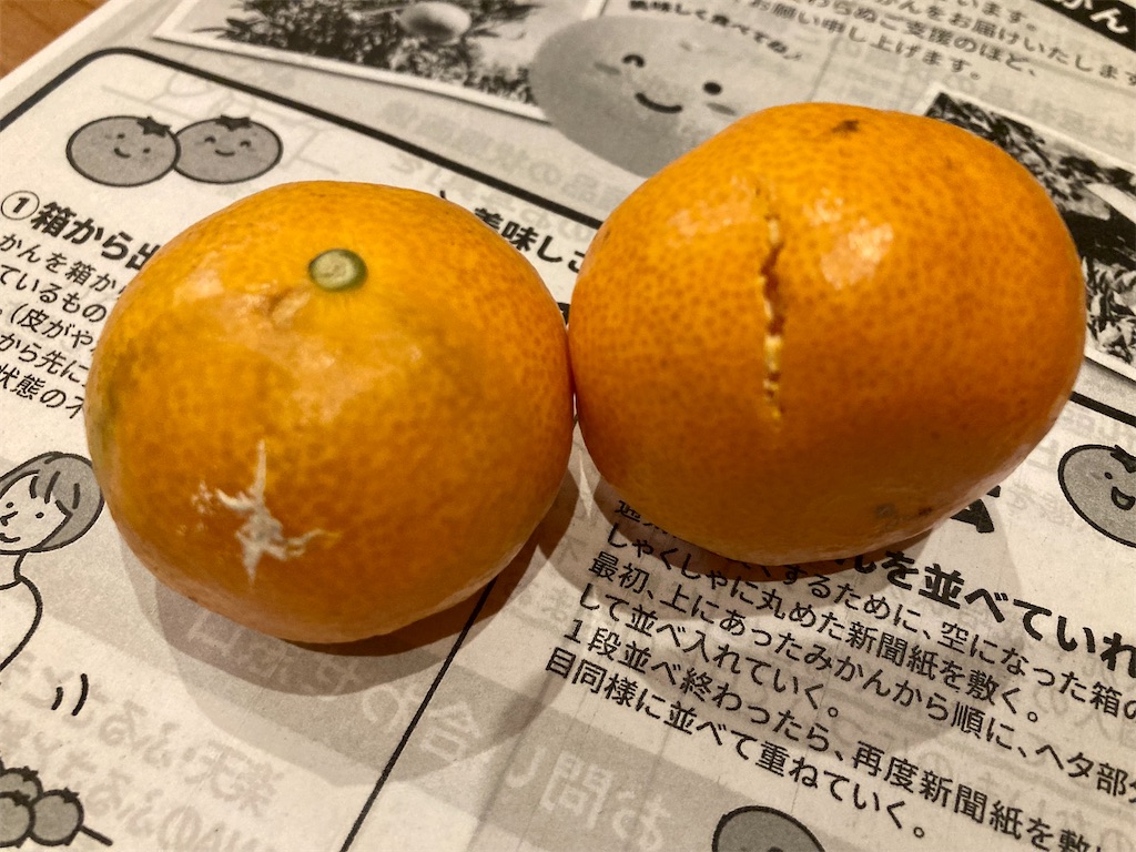 f:id:mitukabee:20221230065757j:image f:id:mitukabee:20221230065757j:image