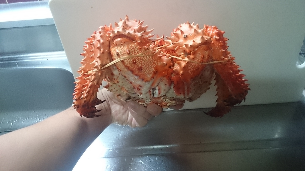 f:id:mitukunkun:20190310073146j:plain
