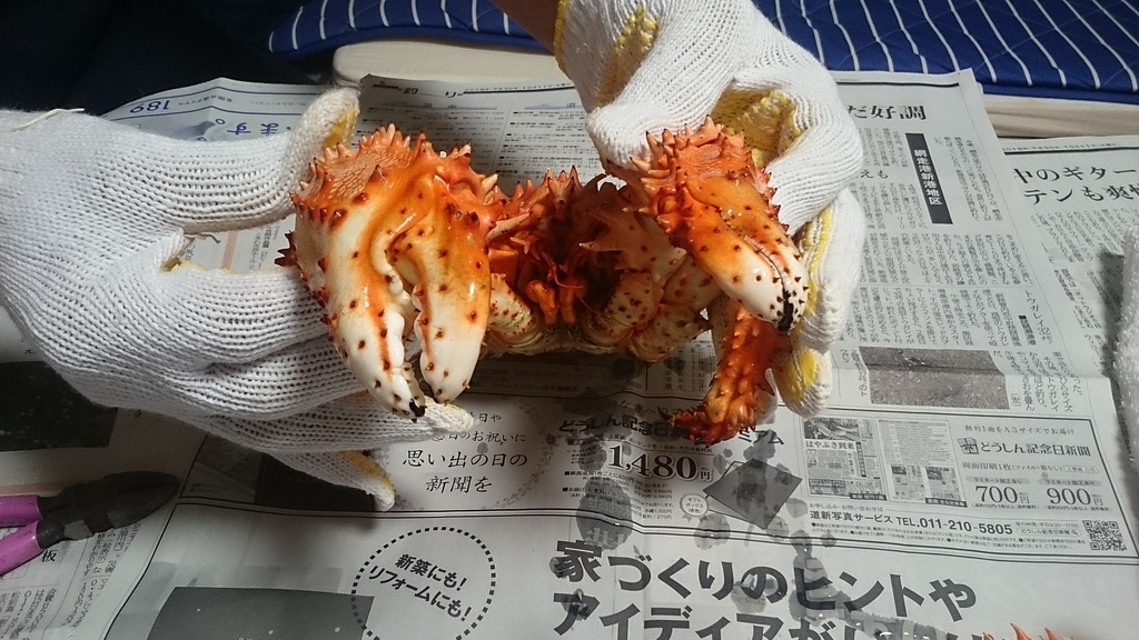 f:id:mitukunkun:20190310073238j:plain