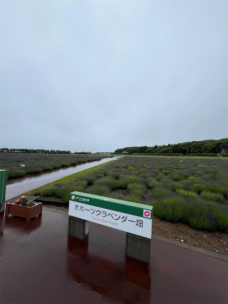 f:id:mitunis16:20260629222947j:image