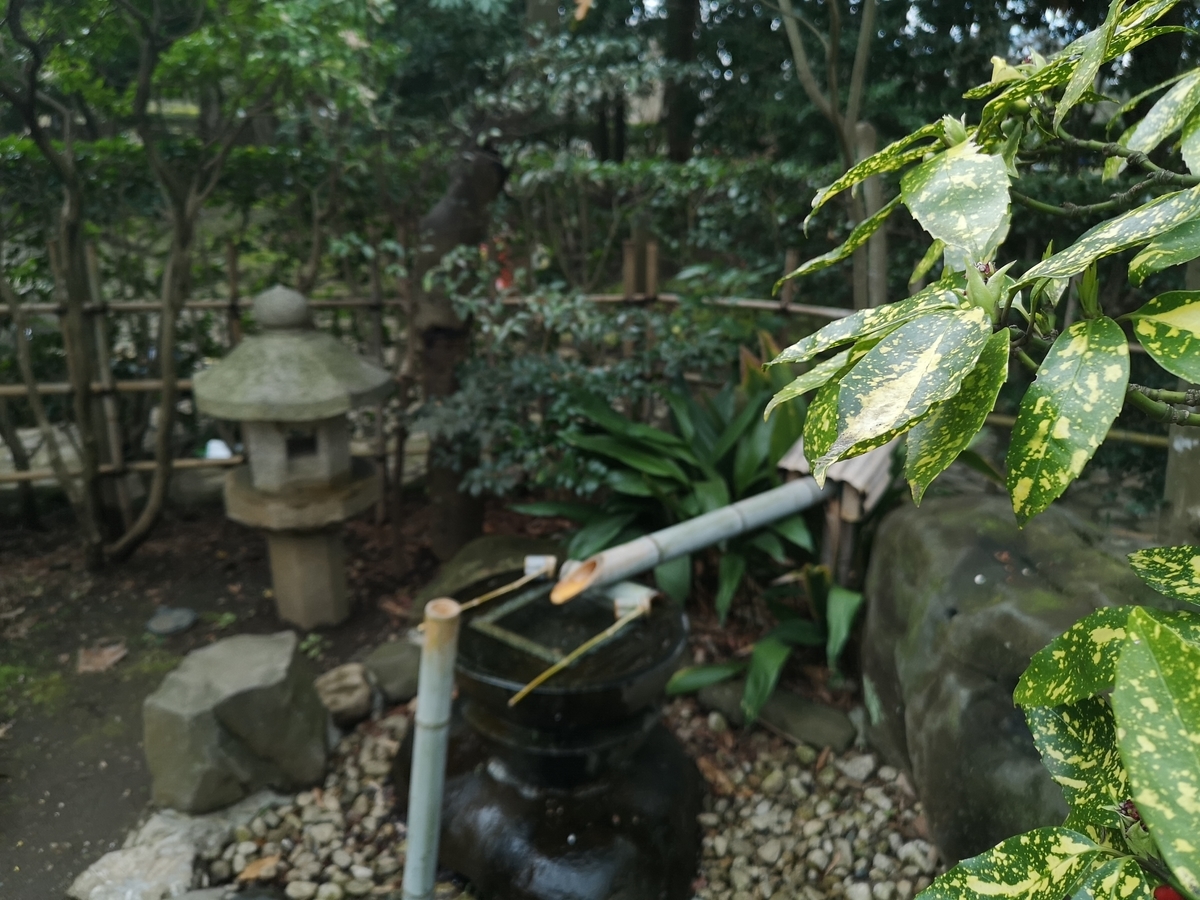 f:id:mituokitune:20200315111601j:plain f:id:mituokitune:20200315111601j:plain