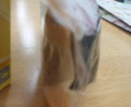 20100725130529