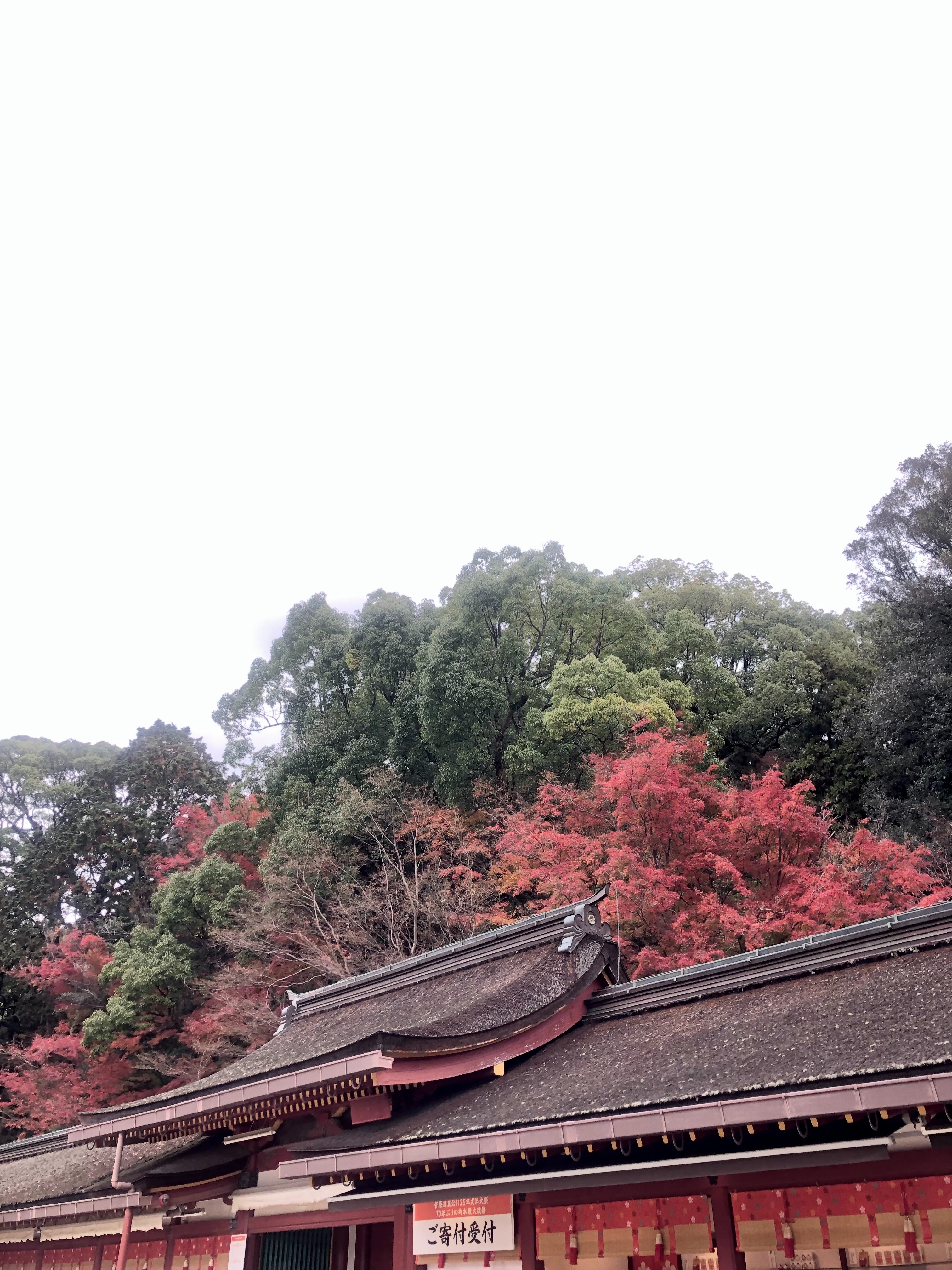 f:id:miu-ohitorisama:20221201200650j:image f:id:miu-ohitorisama:20221201200650j:image