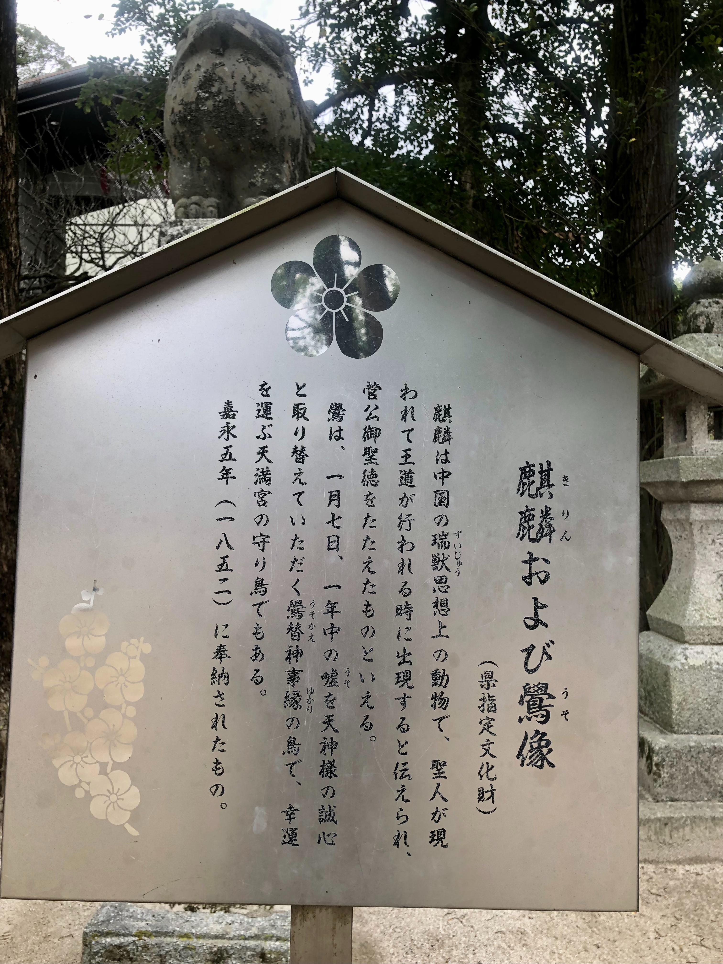 f:id:miu-ohitorisama:20221201202542j:image f:id:miu-ohitorisama:20221201202542j:image