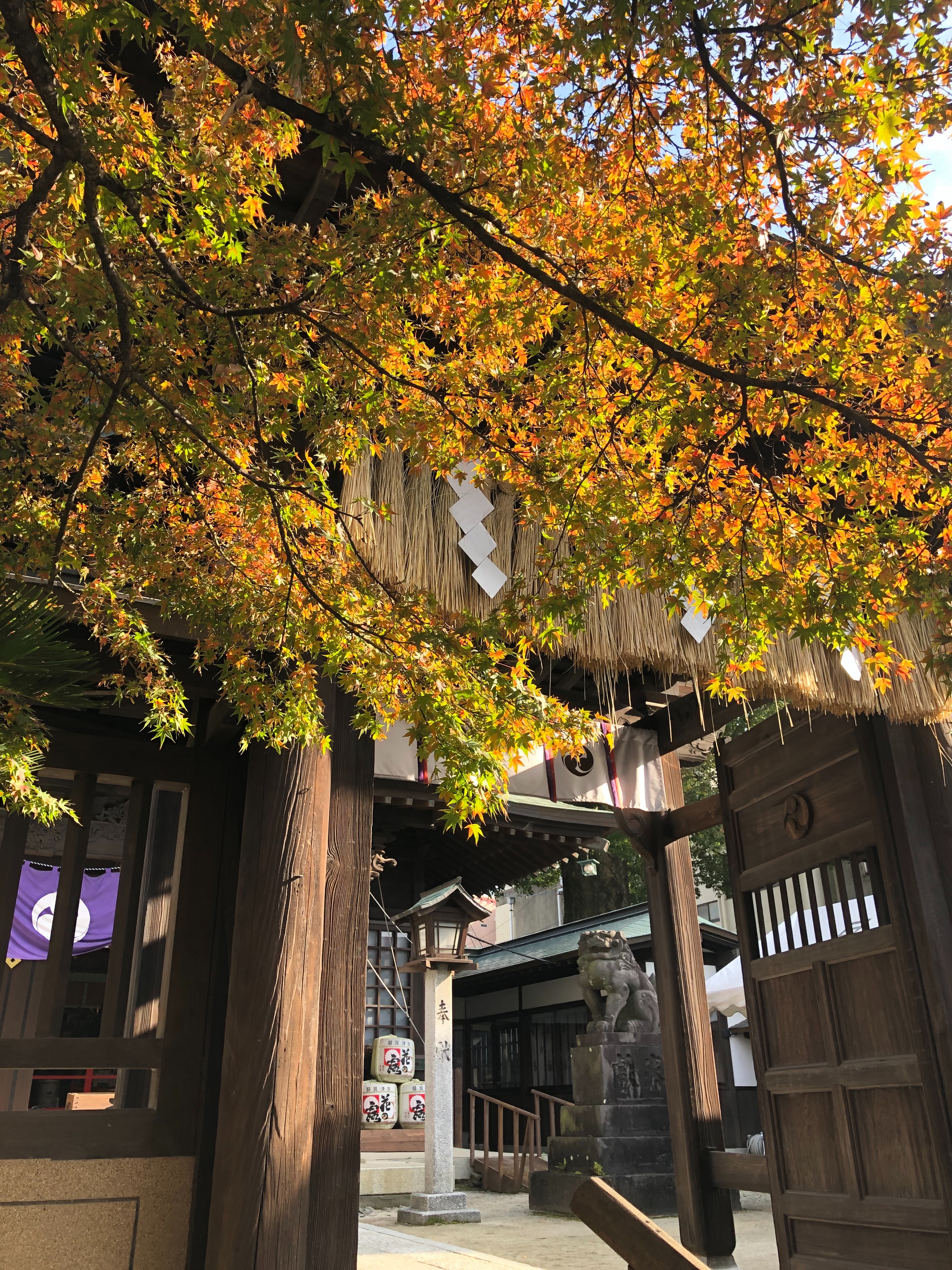 f:id:miu-ohitorisama:20221208173404j:image f:id:miu-ohitorisama:20221208173404j:image