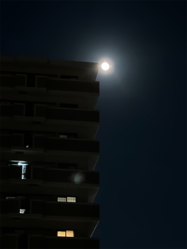 f:id:miu-ohitorisama:20231126225532j:image f:id:miu-ohitorisama:20231126225532j:image