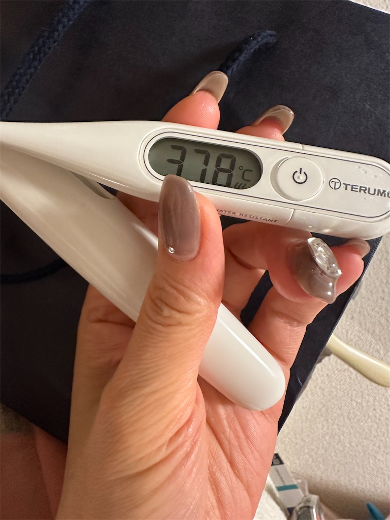 f:id:miu-ohitorisama:20240327225655j:image f:id:miu-ohitorisama:20240327225655j:image