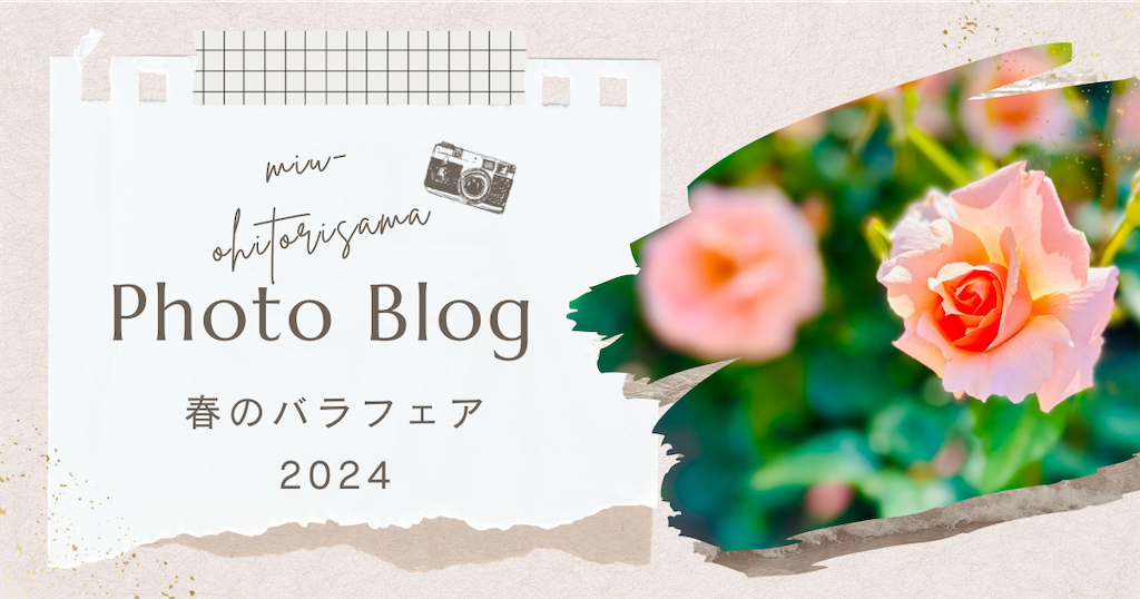 f:id:miu-ohitorisama:20240518212001p:image