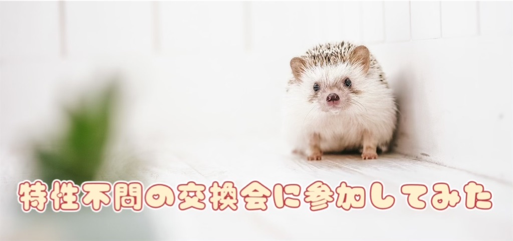 f:id:miu___pp:20210518155241j:image