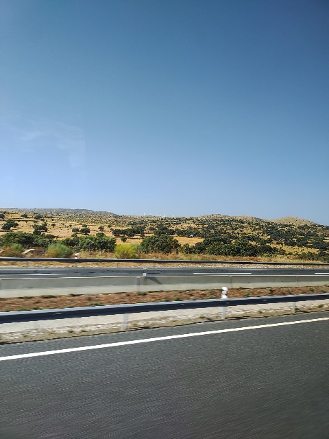 f:id:miu_pf:20230825122629j:image