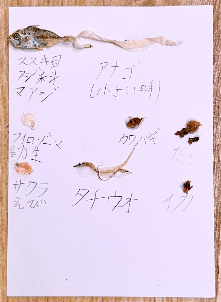 f:id:miucoo:20250824105141j:image
