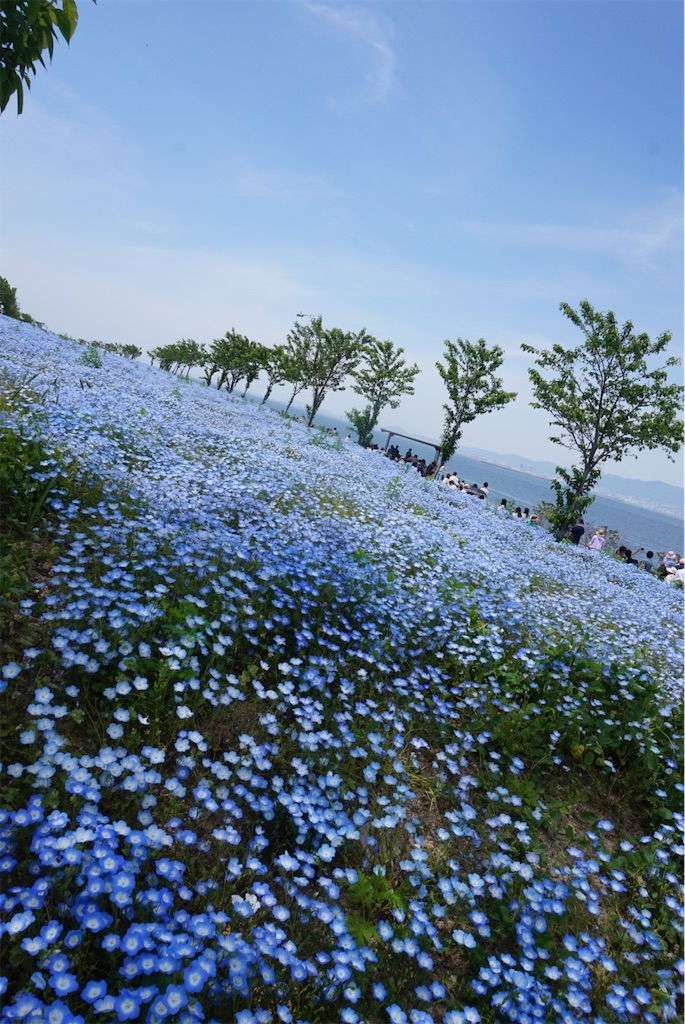 f:id:miumikai:20190521170552j:image f:id:miumikai:20190521170552j:image