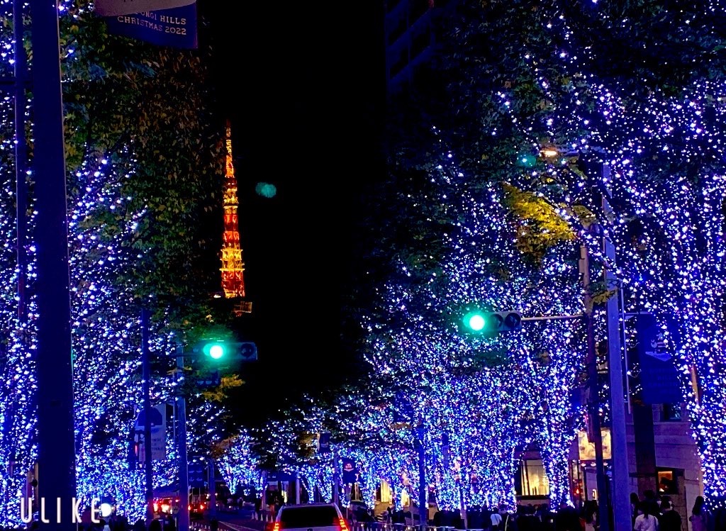 f:id:miumimimi:20221120093745j:image