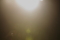 20120619054526