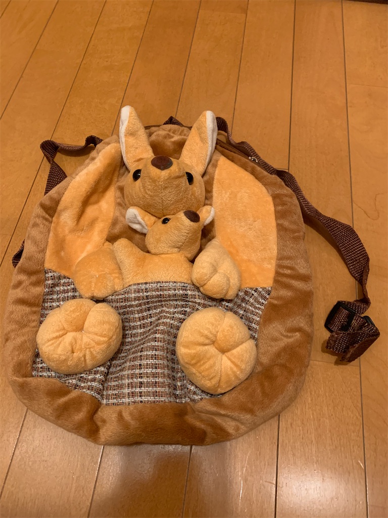 f:id:miurachildren:20200526214641j:image