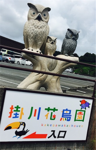 f:id:miuwo:20170717140207j:image f:id:miuwo:20170717140207j:image