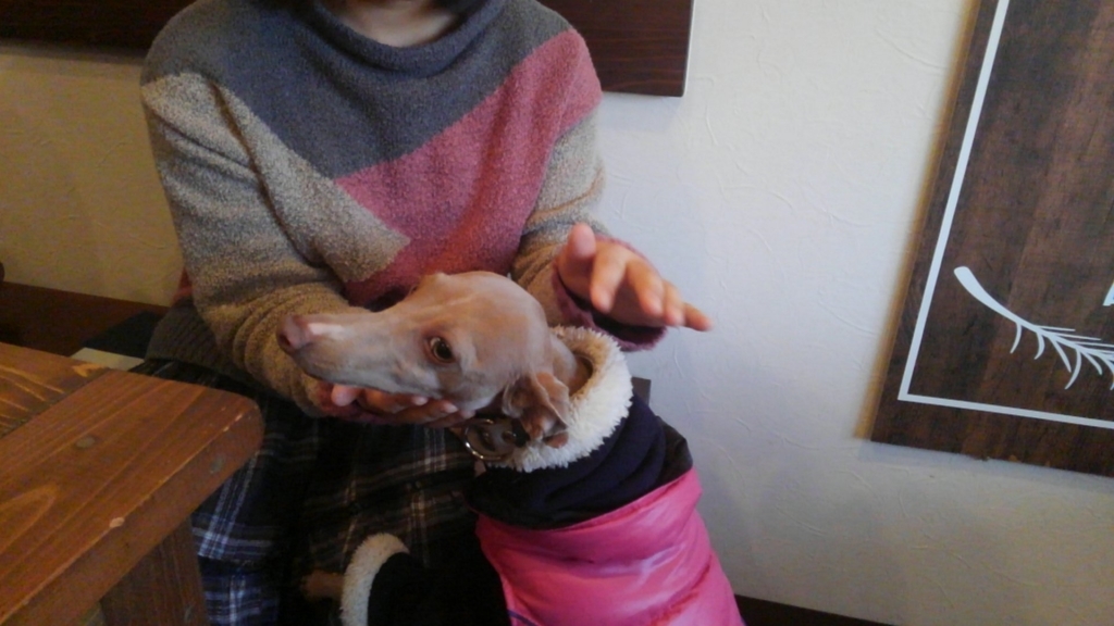 f:id:mivamaro:20190218165627j:plain