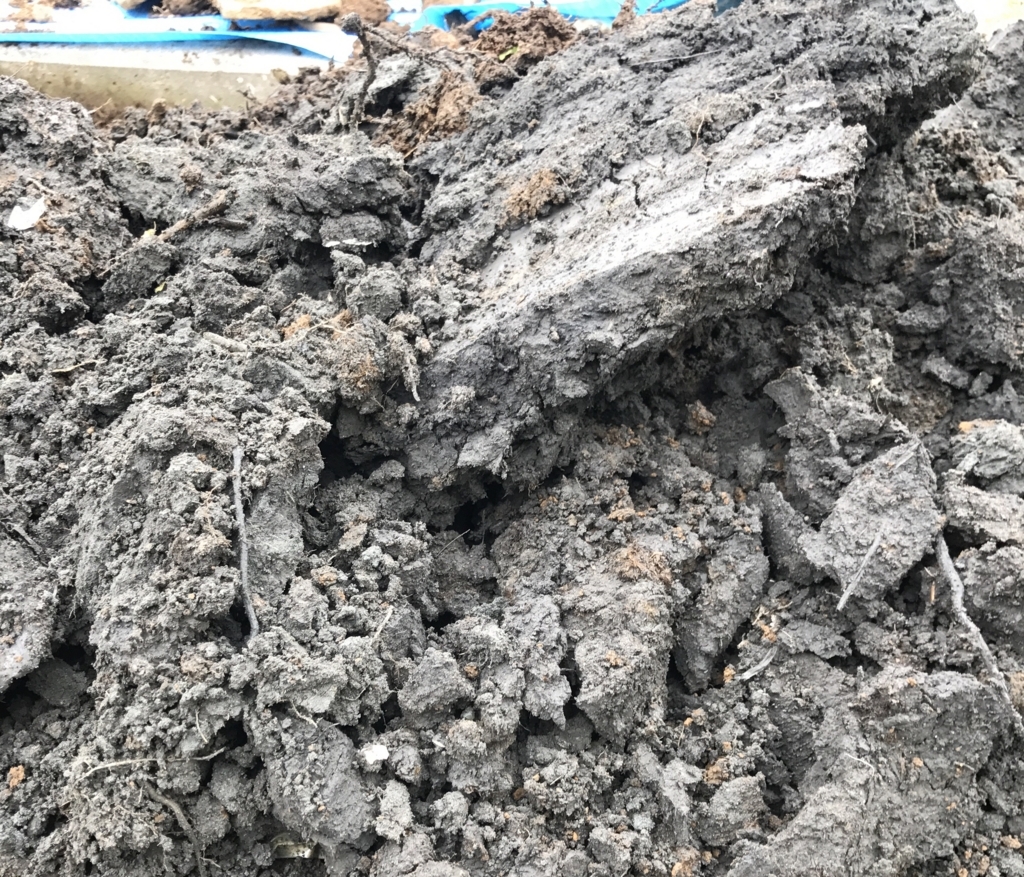 f:id:miwa-planted:20180318082205j:plain