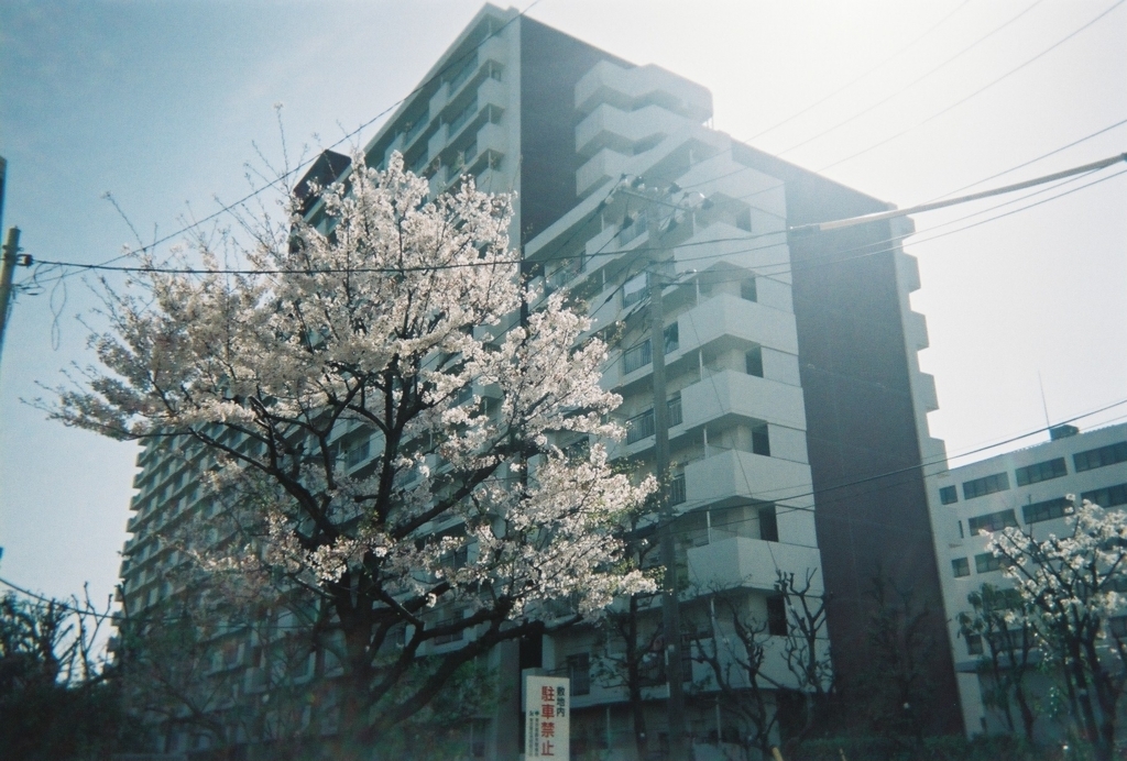 f:id:miwa19940524:20180422231152j:plain f:id:miwa19940524:20180422231152j:plain