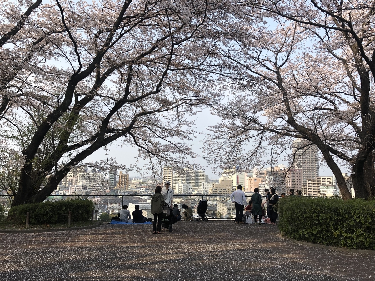 f:id:miwa19940524:20190407230157j:plain f:id:miwa19940524:20190407230157j:plain