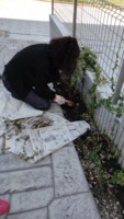 f:id:miwa385:20121021132518j:image f:id:miwa385:20121021132518j:image