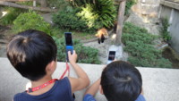 f:id:miwa385:20121021153305j:image